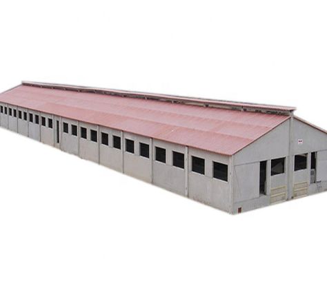 10000 Chickens Moderate Price Large Scale Automatic Chicken Broiler House Poultry Farm Design https://m.alibaba.com/product/1600136130786/10000-Chickens-Moderate-Price-Large-Scale.html?__sceneInfo={"cacheTime":"1800000","type":"appDetailShare"} Broiler Chicken House Design, Goats House, Large Chicken Coop Plans, Poultry Farm Design, Broiler Chicken, Goat House, Warehouse Office, Biggest Chicken, Poultry House