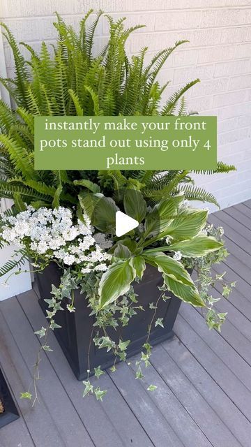 KATIE CORLEY on Instagram: "Because everyone needs a pretty entrance!

But this one takes the cake and is super easy!

Comment LINK for planter details. I love these so much, and they’ve held up well over the past few years. Available in several different sizes and color ways. 

Was this helpful? Drop a 💚 below to let me know!

#easyfrontporchupgeade #easygardening #easygardeninghacks #frontpots #shadecontainer #suncontainers" Front Entrance Planter Ideas, Front Porch Planter Ideas Entrance Flower Pots, Impatient Flower Pot Ideas, Front Porch Potted Plant Ideas, Front Door Planter Ideas Entrance, Ferns On Front Porch, Impatient Flowers, Kimberly Queen Fern, Front Porch Planter Ideas