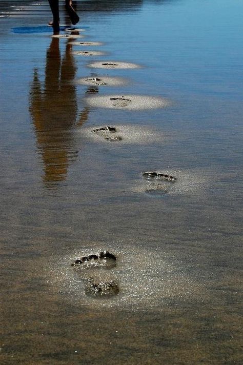 Would love pic like this of kids footprints on vacation together,... Memories,...xoxo Footprints In The Sand, Walking On The Beach, Foto Art, Life Photography, The Sand, Beach Photos, Beach Life, Summer Time, Summer Vibes