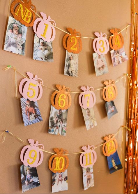 Fall Baby Birthday, Pumpkin Patch Birthday Party, Fall First Birthday, Pumpkin Patch Birthday, Fall 1st Birthdays, Baby Thanksgiving, Halloween First Birthday, Baby First Birthday Themes, Halloween 1st Birthdays