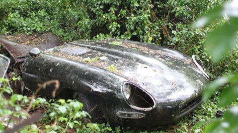 Jaguar Sports Car, Jaguar Xj40, Jaguar Sport, Jaguar Type, Jaguar (cars), Dug Out, Rusty Cars, British Sports Cars, Jaguar Car