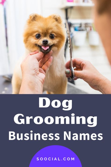 Dog Grooming Names Ideas, Dog Grooming Business Names, Grooming Salon Names, Home Dog Grooming Salon Ideas, Dog Grooming Salon Ideas, Dog Grooming At Home, Dog Grooming Diy, Pet Grooming Business, Grooming Ideas