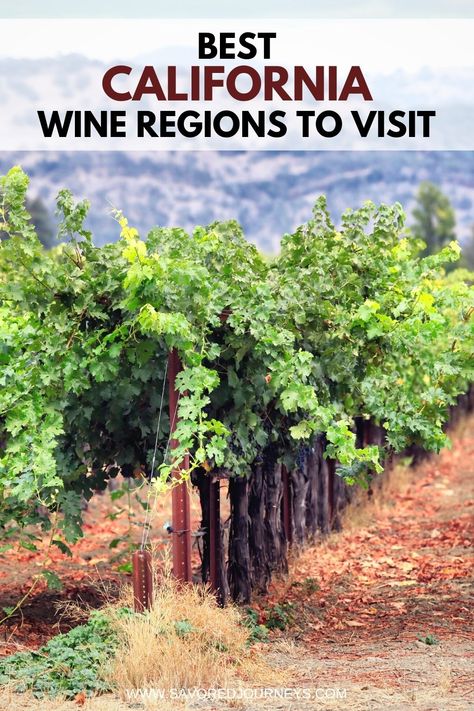 Did you know that California has many of the top wine regions in the United States? From Napa Valley to Temecula, there are some incredible wine regions to visit in California. California Wineries, Sonoma County Wineries, Napa California, California Winery, Napa Valley Wineries, Wine Top, Central California, California Wine, Wine Country California