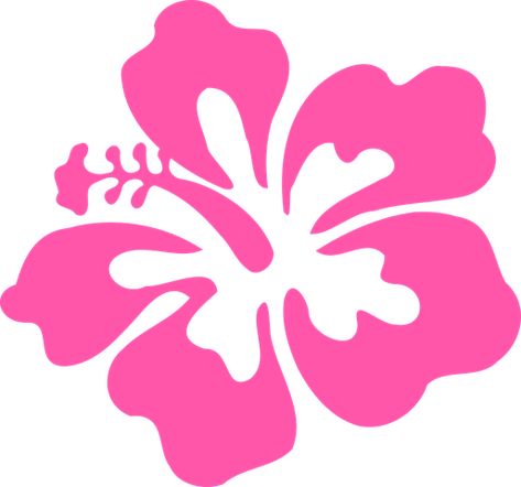 Hibiscus, Pink, Tropical, Flower, Floral Tropical Flower Stencil Patterns, Tropical Flower Svg Free, Flowers In Hawaii, Hawaiin Flowers Drawings, Hibiscus Flower Silhouette, Hibiscus Flower Stencil, Cartoon Hibiscus Flower, Tropical Flower Art, Tropical Flower Illustration