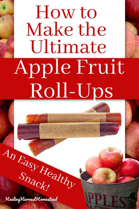 Do you have apple sauce you need to use up? OR...maybe you just want to make a natural healthy snack your kids will love? Here's a recipe and directions for how to make the perfect apple fruit leather from apple sauce! Find out how to make apple fruit roll-ups--the perfect snack for kids and grown ups too. #healingharvesthomestead #fruitrollups #apple #applesauce #healthy #snacks Apple Fruit Roll Up Recipe, Apple Sauce Fruit Leather Recipe, Apple Preserving, Apple Fruit Leather Recipe, Fruit Leather Recipe Dehydrator, Applesauce Healthy, Dehydration Recipes, Fruit Leather Dehydrator, Fruit Rollups