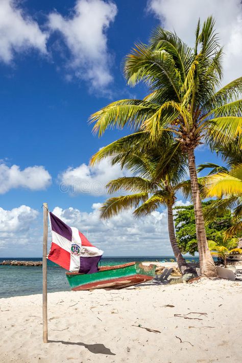 Beautiful caribbean beach and Dominican Republic flag. Dominican Republic Wallpaper, Dominican Republic Flag, Caribbean Beach, Dominican Republic, Palm Trees, The Beach, Trees, Flag, Water