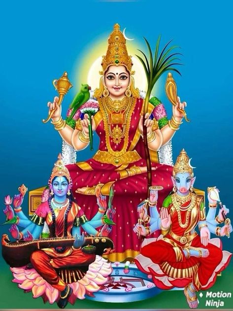 Laxmi Yantra Wallpaper, Shyamala Devi Goddess, Lalitha Devi Images, Maa Lakshmi Images, Sri Lalitha Tripura Sundari Devi, Tripura Sundari Goddesses, Raja Shyamala Devi, Lalitha Devi Goddesses, Lalita Tripura Sundari