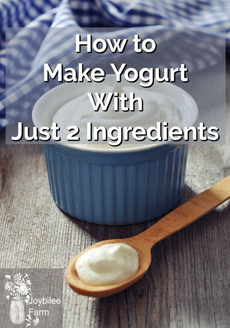 How to make yogurt at home with just 2 ingredients and no special equipment! #homesteading #homesteadingkitchen #yogurtrecipe Homemade Yogurt Recipes, Diy Yogurt, Make Your Own Yogurt, Yoghurt Recipe, Make Greek Yogurt, Coconut Milk Yogurt, Farm Diy, Homemade Greek Yogurt, Making Yogurt