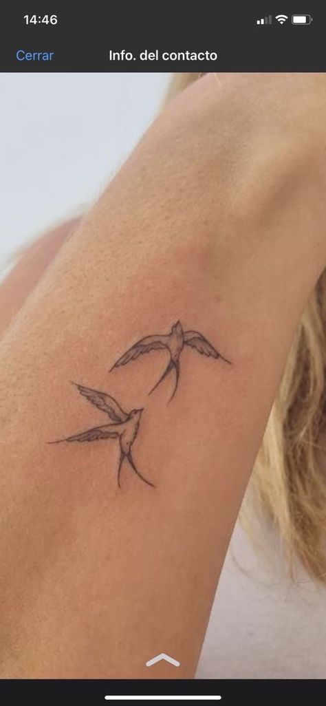 Tattoo Means Freedom, Fine Line Birds Tattoo, 2 Bird Tattoo, Fine Line Sparrow Tattoo, Bird Holding Flower Tattoo, Dainty Dove Tattoo, Hope Is The Thing With Feathers Tattoo, Simple Sparrow Tattoo, Kite Bird Tattoo