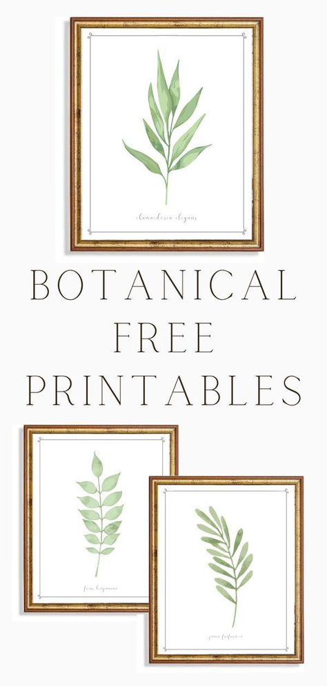 Plant Pictures Printable, Free Greenery Printables, Plant Wall Art Printable, Plant Prints Wall Art Free, Printable Plant Wall Art, Landscape Free Printables, Flower Picture Printable, Prints For Gallery Wall, Printable Watercolor Art Free