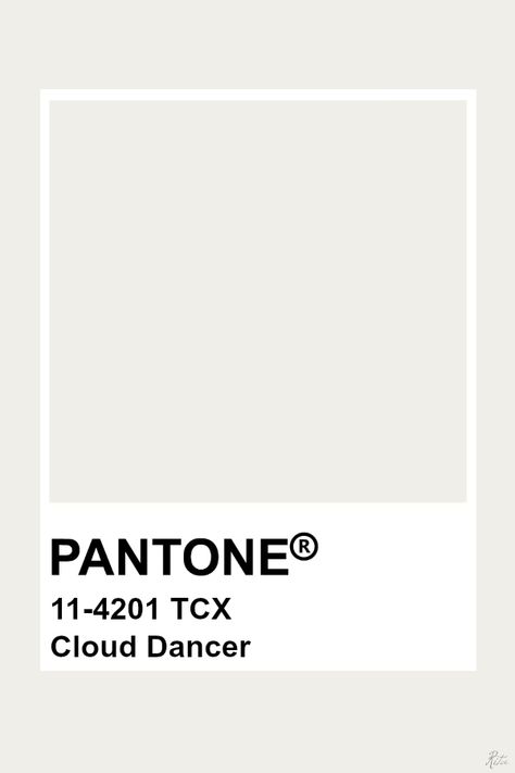 Pantone Cloud Dancer Pantone Colors Neutral, Pantone Off White Color, Pantone Color Aesthetic, White Colour Pantone, White Pantone Palette, Pantone Snow White, Pantone Colors Off White, Colour Swatches Pantone, Snow White Color Palette