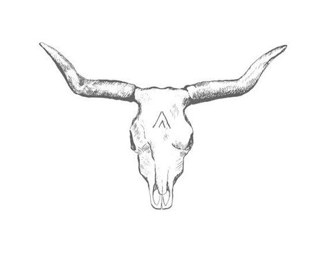 Longhorn Skull Drawing, Bull Skull Tattoo, Desert Skull, Bull Skull Tattoos, Cowgirl Tattoos, Tatuagem Masculina Pequena, Longhorn Bull, Petit Tattoo, Longhorn Skull