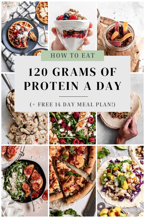 Whether you're focusing on building muscle, weight loss, or just eating healthier, following a high protein diet is key. Learn the secrets to eating at least 120 grams of protein each day and snag your FREE 2 week meal plan to get started right away! 2 Week Meal Plan, Protein A Day, 1200 Calorie Diet Meal Plans, High Protein Meal Plan, Protein Meal Plan, Protein Lunch, High Protein Meal Prep, Healthy High Protein Meals, Eating Healthier