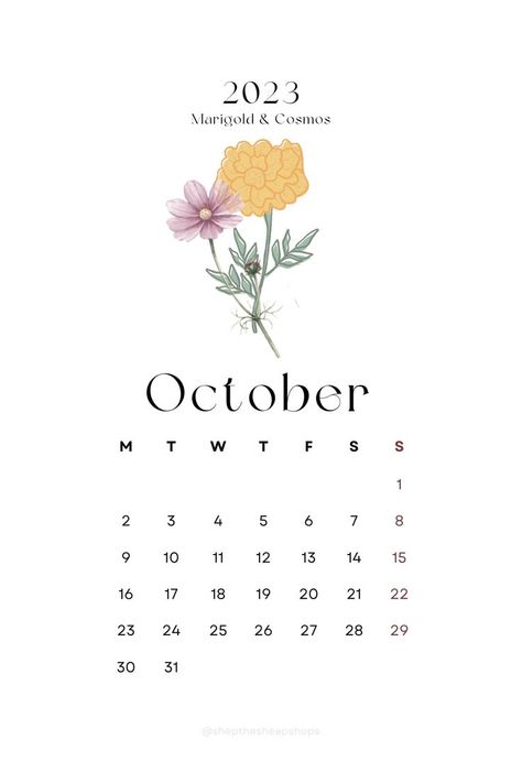 minimalistic simple trendy flower themed October 2023 calendar Calender 2023 Design October, October 23 Calendar, Cute October Calendar 2023, Calender October 2023, October Calender 2023 Aesthetic, October Month Calendar 2023, October Calendar 2023, October 2023 Calendar, 2023 Monthly Calendar