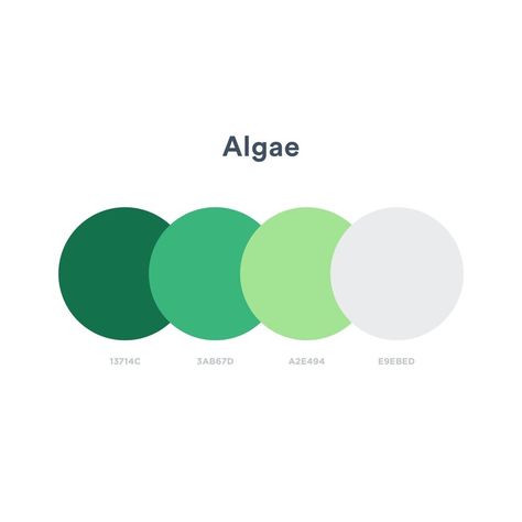 Ocean.ui on Instagram: “More green 🤍 #design #ui #colors #colorpalette #colorscheme #ux #art #graphicdesign #uxdesign #uidesign #color #designideas #artinspiration…” Green App Design, App Colors, Green Dashboard, Ocean Green Color, App Color Palette, Green Color Pallet, Green Website Design, Green Website, Website Color Palette Branding Colour Schemes Green