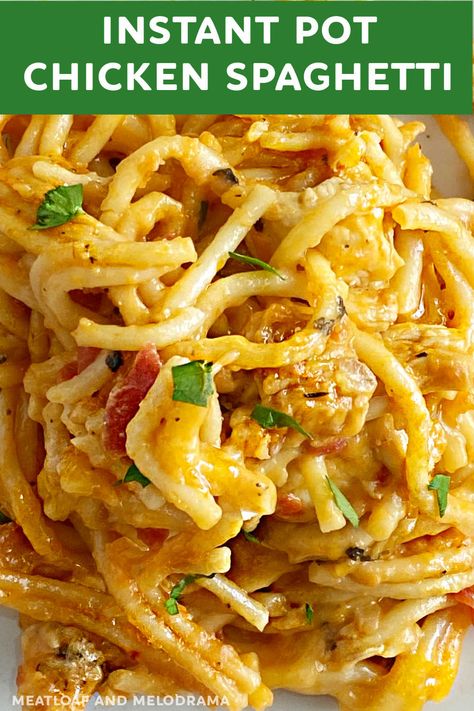 Chicken Spaghetti Instant Pot Recipes, Chicken Spaghetti Recipe Instant Pot, Instant Pot Chicken Spaghetti Velveeta, Insta Pot Chicken Spaghetti, Instapot Chicken Spaghetti, Chicken Spaghetti Instant Pot, Spaghetti Meatloaf, Easy Chicken Pasta Casserole, Chicken Breast Instant Pot