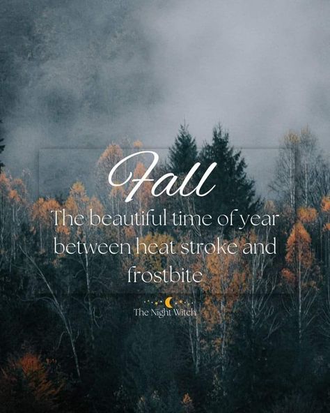 Fall Time Quotes, The Ber Months, Cloak Of Invisibility, Canada Lake, Ber Months, Snarky Quotes, Night Witches, Seasons Months, Fall O