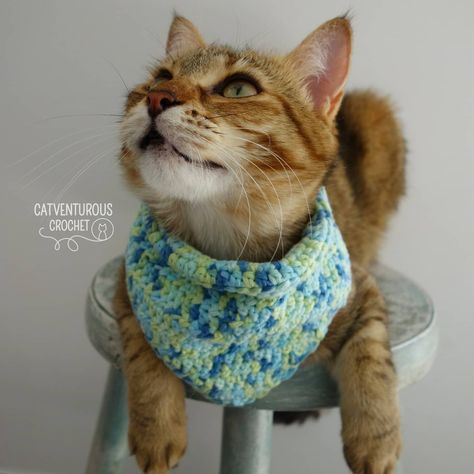 Bandana Crochet Pattern, Fun Crochet Patterns, Bandana Crochet, Crochet Bandana, Boy Cat, Crochet Simple, Fun Crochet, Cat Bandana, Crochet Dog