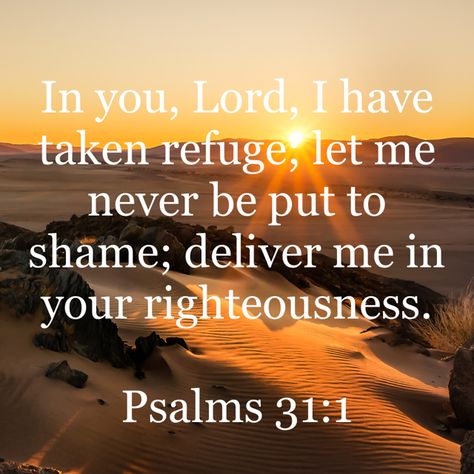 In you, Lord, I have taken refuge; let me never be put to shame; deliver me in your righteousness. ‭‭Psalms‬ ‭31‬:‭1‬‬ Psalms 31, Psalm 31, Deliver Me, Bible Versions, Daily Bible Verse, Daily Bible, Verse Of The Day, Bible App, The Bible