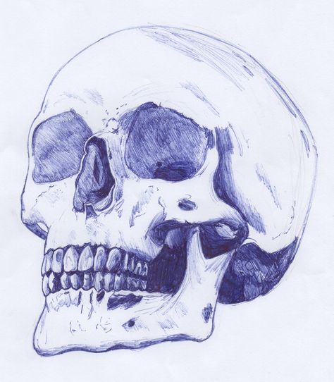 Blue Ballpoint Pen illustration of a Human Skull Ballpoint Pen Art Easy, Stylo Art, Skull Sketch, Ballpoint Pen Art, Pen Art Work, Skeleton Drawings, Alien Drawings, Blue Drawings, Ballpoint Pen Drawing