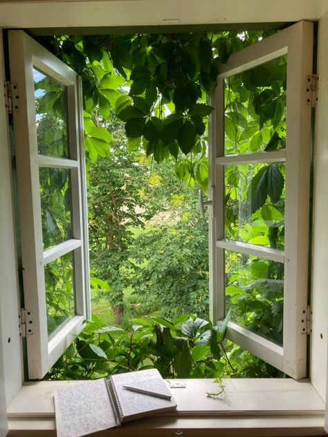 Garden View From Window, Cottage Core Window, Coffee Table Decor Fall, Fall Office Decor, Cute Window, Aesthetic Window, Fall Coffee Table Decor, An Open Window, Fall Coffee Table