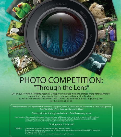 Photography Contest Poster, Contest Poster Design, Design Quiz, Competition Poster, Contest Poster, Creative Market Design, Design Campaign, Poster Photography, Photography Contest