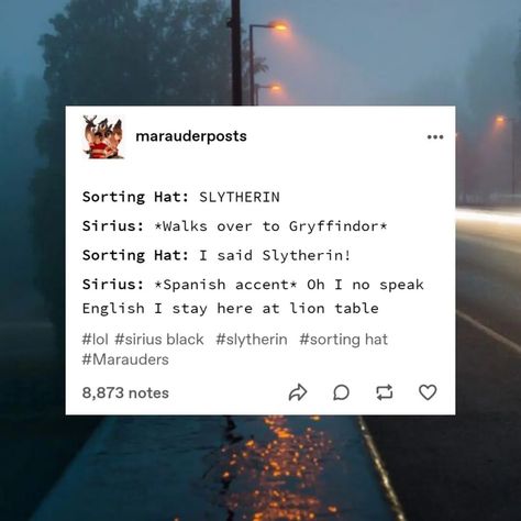 Marauders Tumblr Posts, Hogwarts Family, Marauders Jegulus, Orion Black, Harry Potter Parody, Book Character Costumes, Gay Harry Potter, Harry James, Harry Potter Headcannons