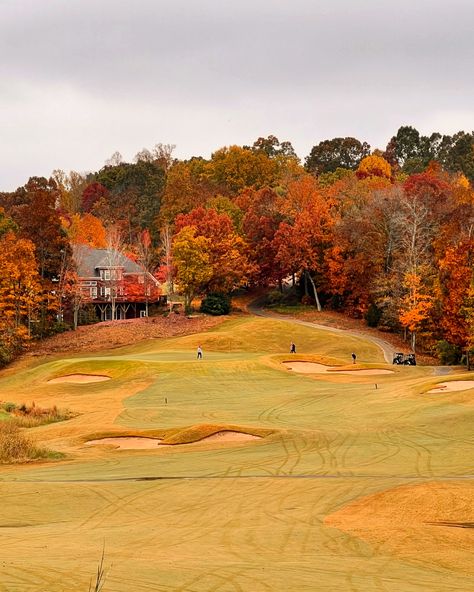 Golfing this time of year hits different 🍂🏌️‍♂️⛳️ . The cool breeze.. The fiery colors of the trees.. The sound of leaves crunching underfoot—it’s a whole vibe. . . To me, it’s all SO peaceful. Every round reminds me why I love the game. The scenery is breathtaking and it’s a chance to truly appreciate nature while staying in the moment. 🍁⛳️ #fall #golf #fallgolf #golflife #golfaddict #golfphoto #golfcourse #nature #autumn #fallvibes #golfphotography #sweaterweather #clt #charlotte #que... City Golf, Golf Photography, Nature Autumn, Hits Different, Cool Breeze, Queen City, Fall Inspo, Staying In, The Cool