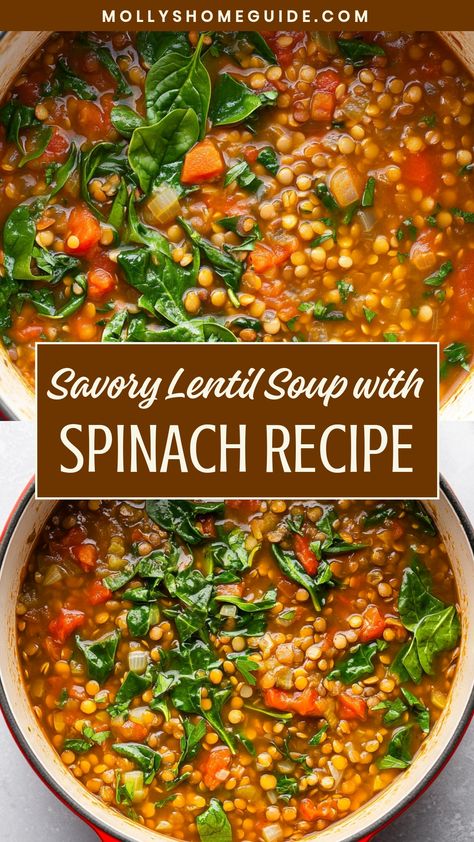 Warm up with a comforting bowl of flavorful lentil soup with spinach. This hearty and nutritious dish is perfect for chilly days and will surely satisfy your cravings. Packed with protein, fiber, and vitamins, this recipe is a delicious way to nourish your body. Whether you enjoy it as a light lunch or a cozy dinner option, this lentil soup is sure to become a favorite in your rotation of go-to meals. Give this wholesome and easy-to-make dish a try today! Lentil Soup With Spinach Recipe, Lentils Spinach Recipe, Defined Dish Soup Recipes, Vegan Soup With Lentils, Delicious Lentil Soup, Soup With Lentils Healthy, Vegetarian Lentil Recipes Healthy, Lentil Spinach Soup Recipe, Lentil Protein Recipes