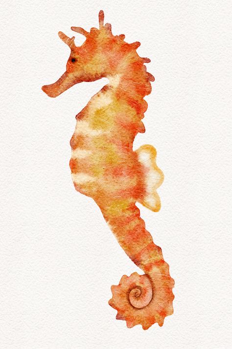 Watercolor hand drawn orange seahorse illustration isolated on white background, cute ocean animal drawing Ocean Creatures Watercolor, Sea Animals Aesthetic Drawing, Painted Sea Creatures, Sea Horses Drawing, Seahorse Watercolor Painting, Watercolor Art Ocean Animals, Orange Fish Painting, Watercolor Art Sea Animals, Ocean Animal Paintings Easy