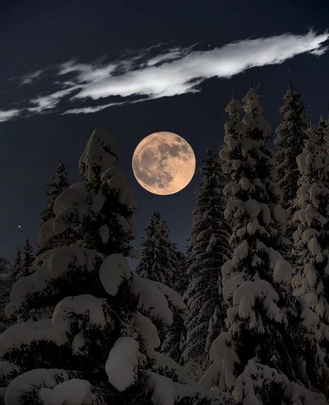 MOON LOVER on X: "Winter Full Moon. https://t.co/SlboB03mE4" / X Winter Full Moon, Moon Lover, Moon Lovers, Moon Goddess, Full Moon, Moon, Architecture