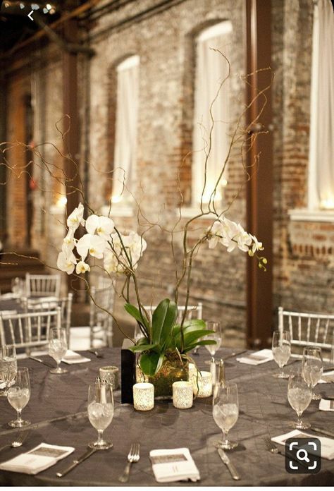 Orchid Centerpiece Wedding, Amazing Centerpieces, Wedding Orchids, Orchid Centerpieces Wedding, Cheap Wedding Table Centerpieces, Plant Centerpieces, Gala Time, Succulent Centerpiece, Orchid Centerpieces