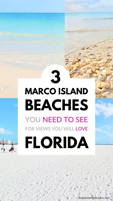 Marco Island beach. travel. Visit the blog for Marco Island beaches you need to see! southwest florida. things to do. florida beaches. pictures. family vacation ideas. us outdoor travel destinations. florida vacation. florida road trip. florida aesthetic. travel aesthetic. florida itinerary. naples florida day trip. marco island florida. gulf coast beaches. flashpacking america florida. Florida Gulf Coast Beaches, Florida Road Trip, Marco Island Beach, Us Beach Vacations, America Florida, Florida Beaches Vacation, Gulf Coast Beaches, South Beach Florida, Florida Aesthetic