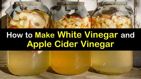 Make Apple Cider, Diy Vinegar, How To Make Vinegar, Making Apple Cider, Apple Cider Vinegar Recipes, Make Apple Cider Vinegar, Best Apple Cider Vinegar, Braggs Apple Cider, Braggs Apple Cider Vinegar