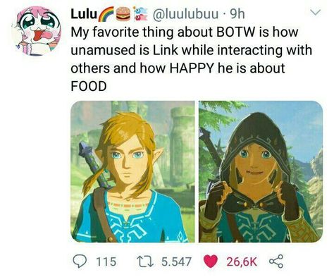 Legend Of Zelda Merchandise, Zelda And Link, Botw Zelda, Legend Of Zelda Memes, Zelda Funny, Ready For Marriage, Hyrule Warriors, Link Zelda, Zelda Art