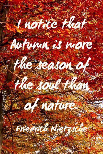 Fall Screensavers, Autumn Quote, Autumn Poems, Nietzsche Quotes, Fall Quotes, Autumn Quotes, Autumn Scenery, Fall Feels, Happy Fall Y'all