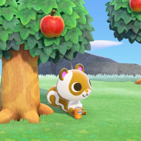 Sylvana squirrel animal crossing acnh cute Animal Crossing Guide, Animal Crossing Characters, Rats, Animal Crossing, Hello Kitty, Pokemon, Animals, Pokémon