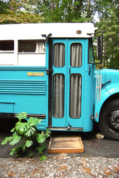 House Tour: A Cute Home in a Small Blue School Bus | Apartment Therapy Combi Hippie, School Bus Camper, School Bus House, Converted Bus, Kitchen Apartment, Bluebird House, Bus Living, Short Bus, School Bus Conversion