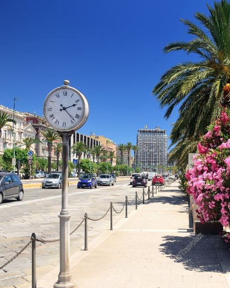 Cagliari, Sardinia, Italy . . . #cagliari #sardinia #italy #travel #explore #adventure #history #culture #visitcagliari #cagliaritravel #cagliarilove #cagliariexplore #cagliariphotography #cagliarivacation #cagliaritourism #mediterranean #beautifulsardinia #discoveritaly #italianadventure #historiccity #sardinianlife #cagliaribeauty #cagliarifun #sardiniatravel #italyphotography #cagliariscenery Italy Boyfriend, Cagliari Sardinia Italy, Sardinia Italy, Sardinia, Italy Travel, Travel Destinations, Travel Tips, Italy, History