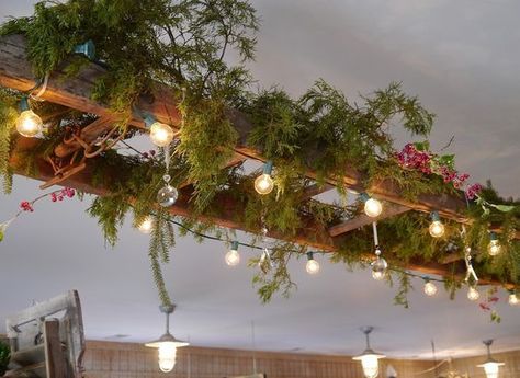 7 Reason why ladders are the coolest thing to decorate this Christmas Repurpose Ladder, Hanging Ladder, Creative Post, Old Ladder, Vintage Ladder, Lights Hanging, Wooden Ladder, Rustic Lighting, The Ceiling