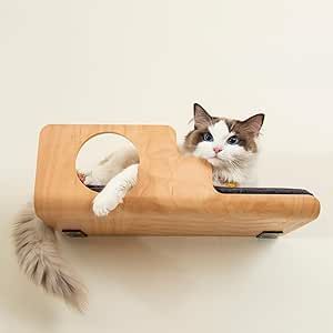 Wall Cat Furniture, Modern Cat Wall Furniture, Designer Cat Furniture, Cat Walls, Cat Wall Bed, Cat Rooms, Floating Cat Shelves, Unique Cat Trees, Cat Room Decor