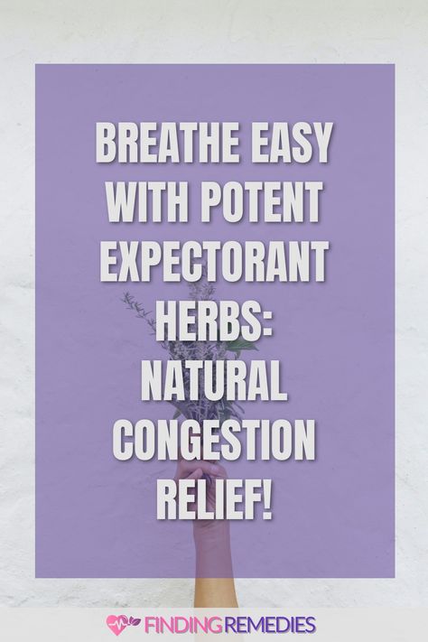 Breathe Easy with Potent Expectorant Herbs: Natural Congestion Relief! Expectorant Herbs, Herbal Expectorant, Natural Expectorant, Natural Remedies For Congestion, Mucus Relief, Homemade Cough Syrup, Herbal Therapy, Congestion Relief, Breathe Easy