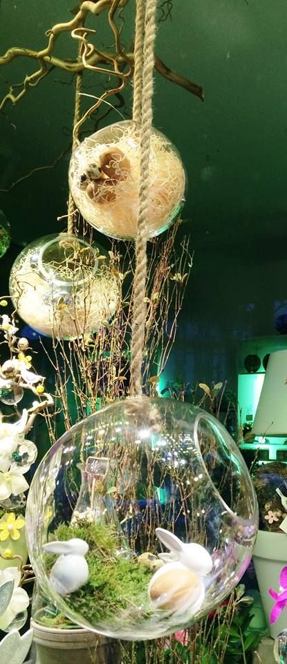 Green boutique  Strasbourg  Vitrine de Pâques Green Boutique, Shabby Chic Boutique, Spring Gift Ideas, Decoration Vitrine, Spring Flower Arrangements, Spring Window, Easter Quotes, Spring Plants, Spring Gifts