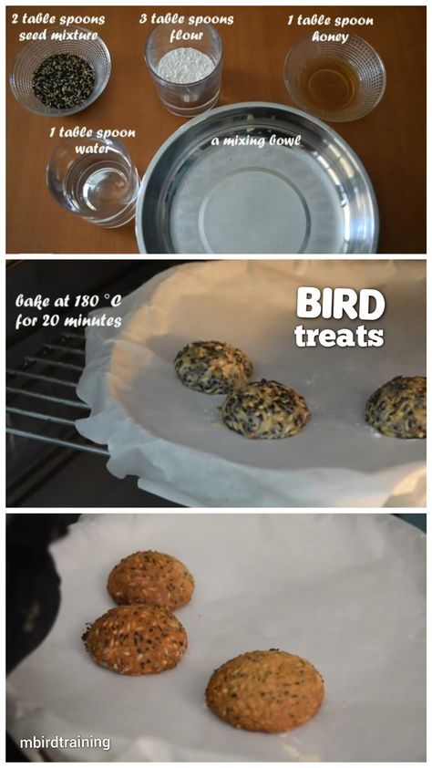 Budgie Food Recipes, Bird Treats Diy, Homemade Bird Toys Parrots, How To Take Care Of Parakeets, Bird Treats Homemade, Diy Parakeet Toys, Diy Bird Toys Parakeets, Parakeet Cage Ideas, Homemade Bird Seed