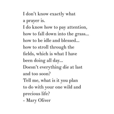 Mary Oliver quote from One Summer Day poem. Tell me, what is it you plan to do with your one wild and precious life? One Wild And Precious Life, Wild And Precious Life, Mary Oliver Quotes, Mary Oliver Poems, Quotes Dream, Mary Oliver, Robert Kiyosaki, Poetry Words, Literary Quotes