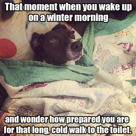 40 Hilarious Winter and Snow Memes for When You're Freezing Your Face Off   #funnypics #funnypictures #wintermemes #snowmemes #lol Cold Weather Funny, Overly Attached Girlfriend, Winter Humor, Weather Memes, Misery Loves Company, Monday Memes, Christmas Memes, Humor Mexicano, Good Day Song