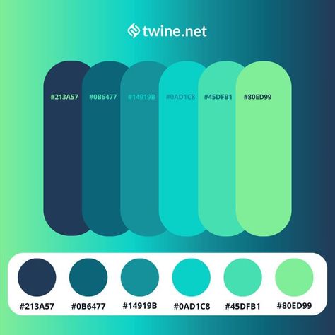 UI / UX Designers & Developers | Color Palettes 🎨 by Twine | Facebook