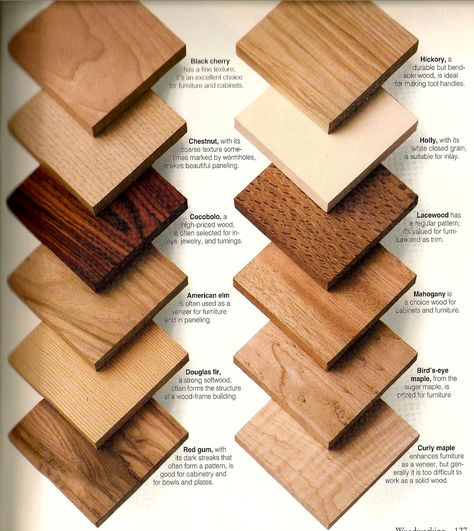 Wood Types & Samples for Client Reference How To Carve Wood, Woodworking Tools Storage, Woodworking School, Wood Crafting Tools, Woodworking Logo, Woodworking Projects For Kids, Woodworking Patterns, Woodworking For Kids, Woodworking Classes