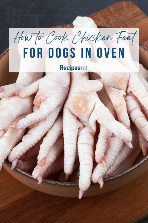 Elevate your dog's meals with our oven-cooked chicken feet recipe that's both easy and nutritious. Perfect for promoting joint health and packed with flavor, this recipe is a must-try. Visit recipes.net for a detailed guide and more pet-friendly dog food recipes easy. Bake with love and keep your dog happy! Got more dogfood homemade suggestions for us? Comment below. #dogfoodideas #homemadepetfood #healthytreats #dogcooking #nutritiousdogfood Cooking Chicken For Dogs, Dog Food Recipes Easy, Dogfood Homemade, How To Cook Chicken Feet For Dogs, Chicken And Rice For Dogs How To Make, Chicken Feet For Dogs, Chicken Feet Dog Treats, Raw Chicken Feet For Dogs, Chicken Feet Recipe