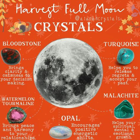 Full Moon Crystals Stones, Harvest Moon Crystals, Harvest Full Moon, Charging Crystals, My Intent, Crystals Meanings, Moon Crystals, So Exhausted, Groovy Art